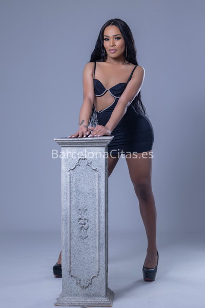 Erika, elegantísima trans. 685842618. Citas en BARCELONA, BARCELONA. www.barcelonacitas.es.