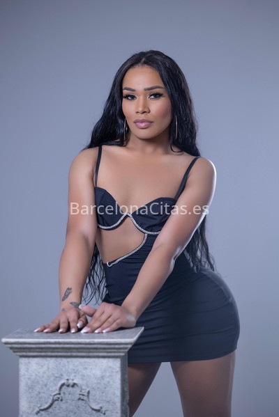 Erika, elegantísima trans. 685842618. Citas en BARCELONA, BARCELONA. www.barcelonacitas.es.