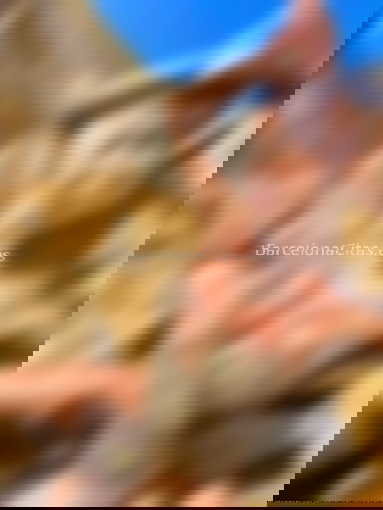 Tamara trans, elegancia y belleza pura. 632690664. Citas en BARCELONA, BARCELONA. www.barcelonacitas.es.