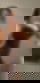 622412226