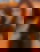 600780232